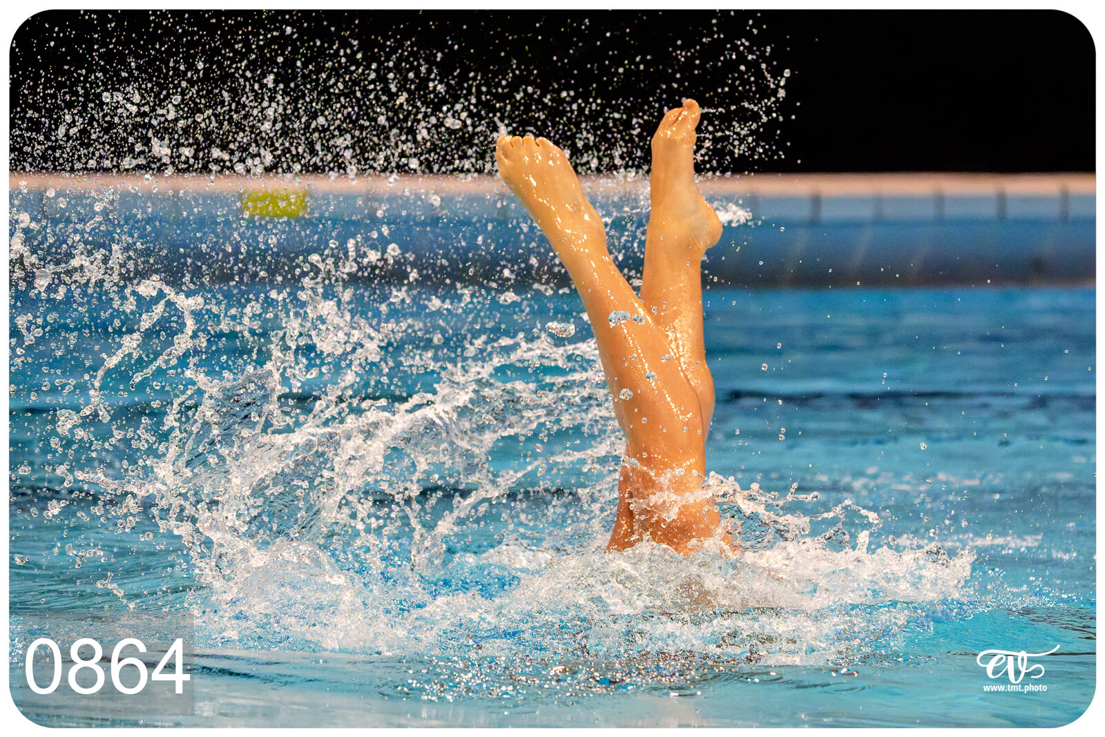 CHAMPIONNAT DE FRANCE DE NATATiON ARTISTIQUE N1 & ELITE 2026